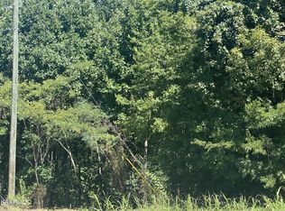 0 Big Springs Rd LOT 10, Maryville, TN 37801