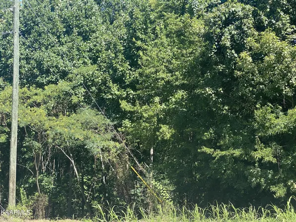 0 Big Springs Rd Lot 10, Maryville, TN 37801