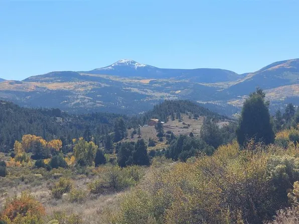 1416 Bear Creek Circle, South Fork, CO 81154