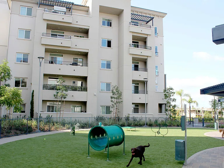 Casa Mira View Apartments — Photo 93