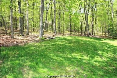 Back yard - more privacy.