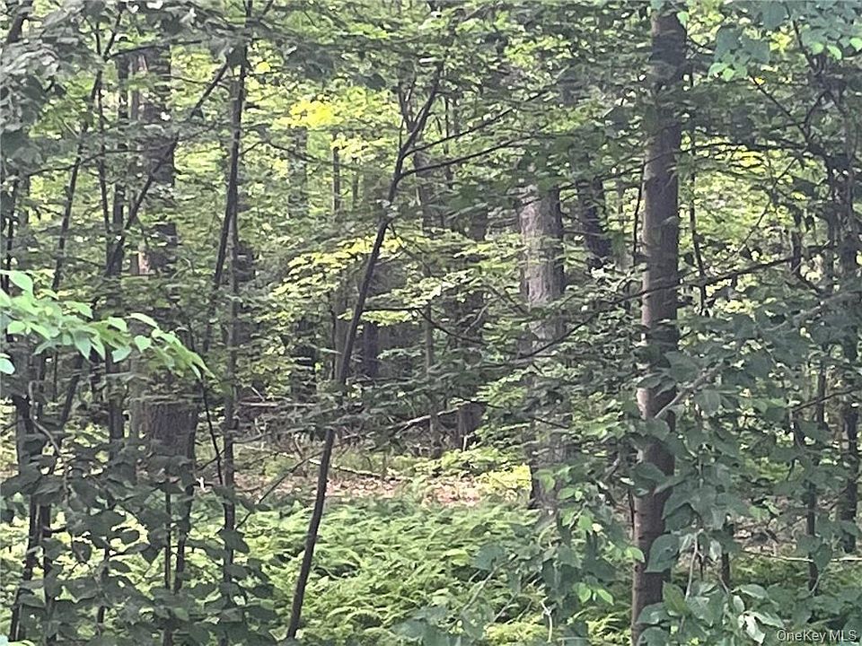 2nd image of Mount Ross