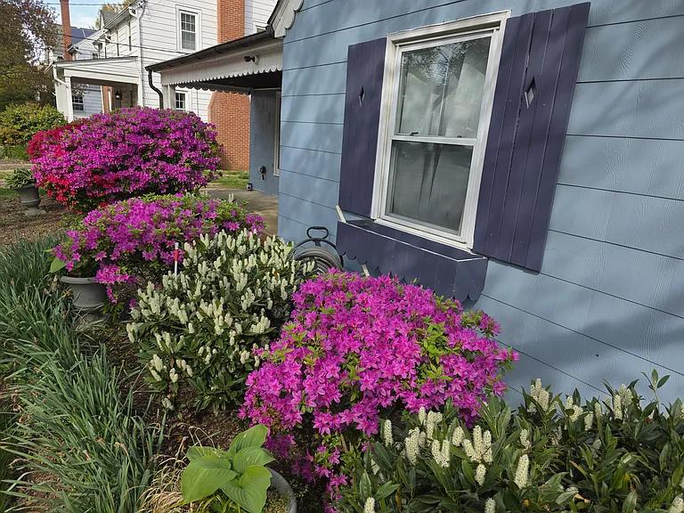 201 S Cherry Grove Ave #2 — Photo 18