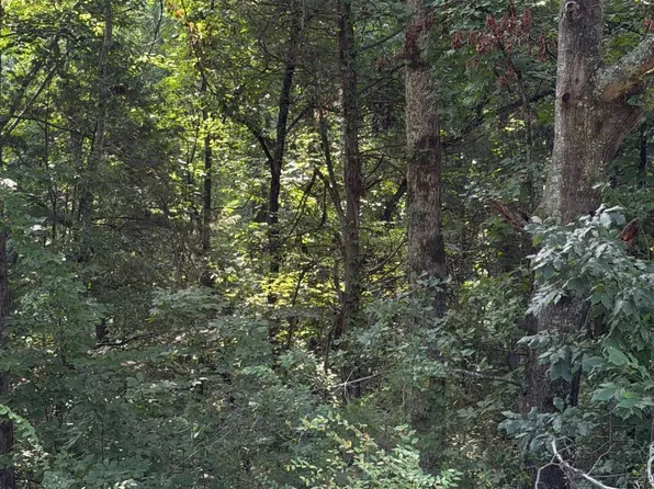 0 Porter Rd, Honea Path, SC 29654