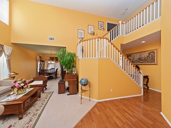 Contact DeBonis Team