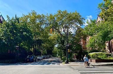 Rented by Vector New York, LLC