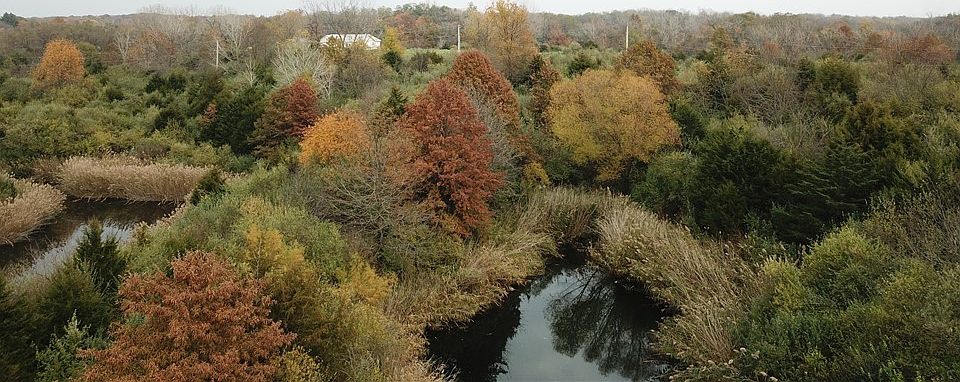 1st image of White Oak Trl