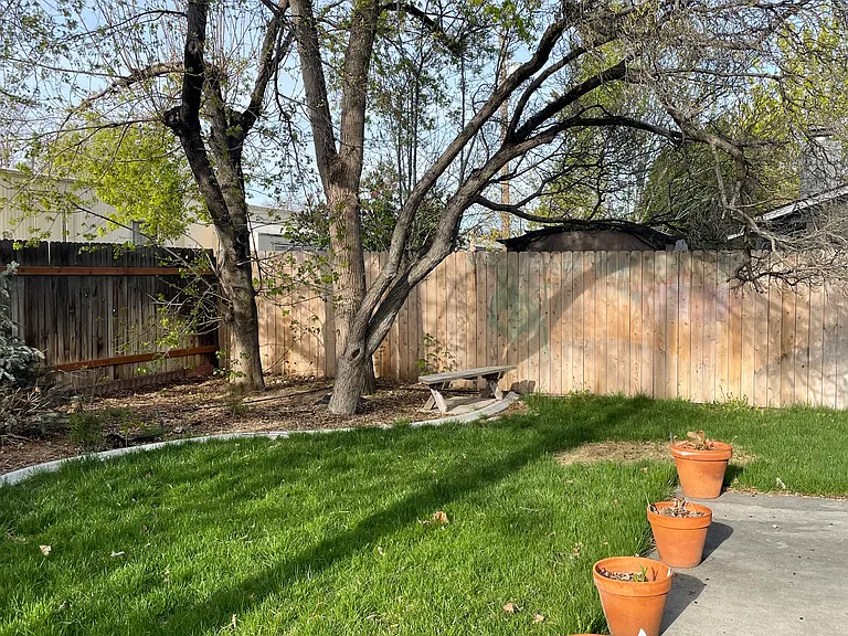 Backyard second angle.