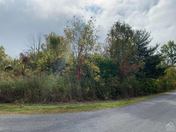 0 Debbie Dr, Athens, NY 12015