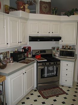 new pics from camera 082.JPG