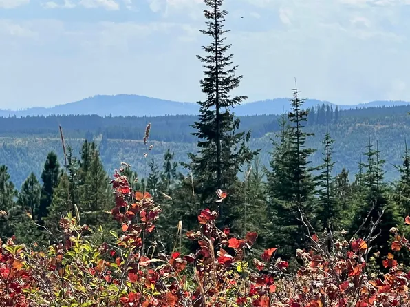 Fox Mdws Parcel 6, Orofino, ID 83544