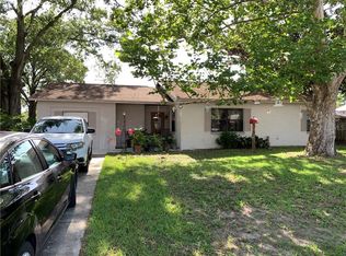 2815 Ruth Ln, Land O Lakes, FL 34639