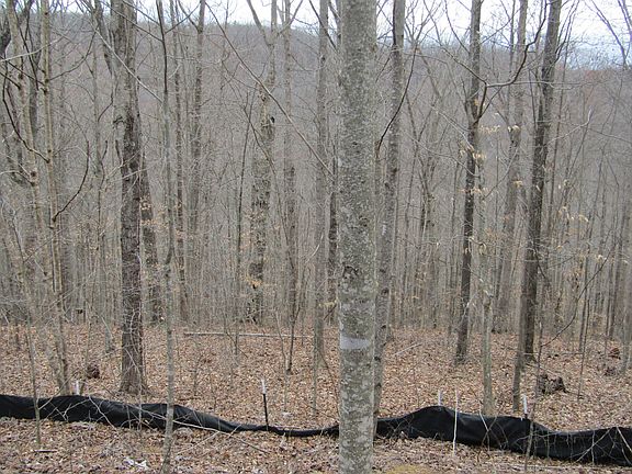 4th image of 0 W Bobcat Ln #60