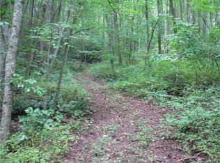 Curtis Creek Rd, Candler, NC 28715