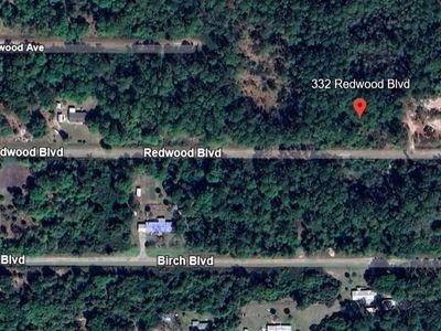 332 Redwood Blvd, Georgetown, FL, 32139