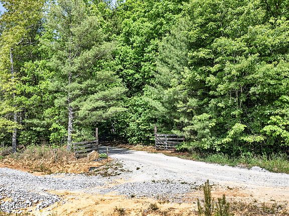 37th image of 4912 Honey Creek Loop Rd