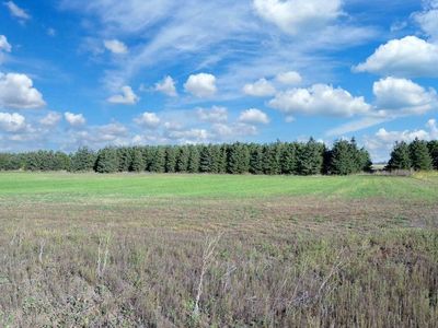 County Road 77, Wadena, MN, 56482