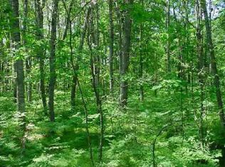 6166 Fox Run Cir, Stanwood, MI