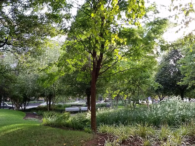 Park