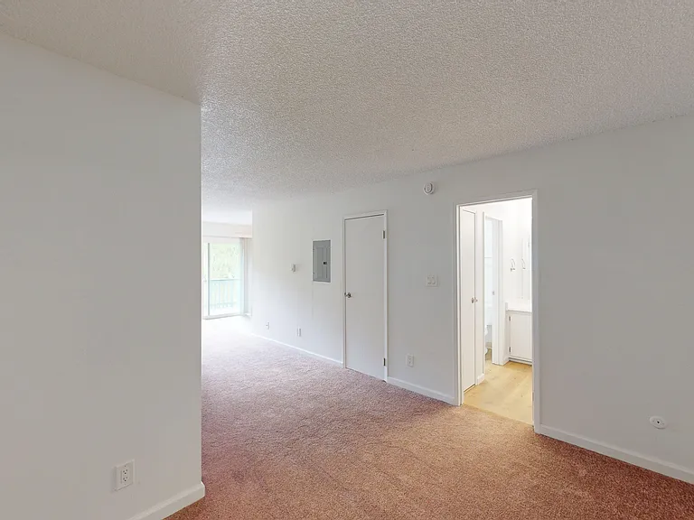 541 Alameda Del Prado #306 — Photo 9