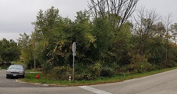 5th image of 25586 W Lakeview Ave