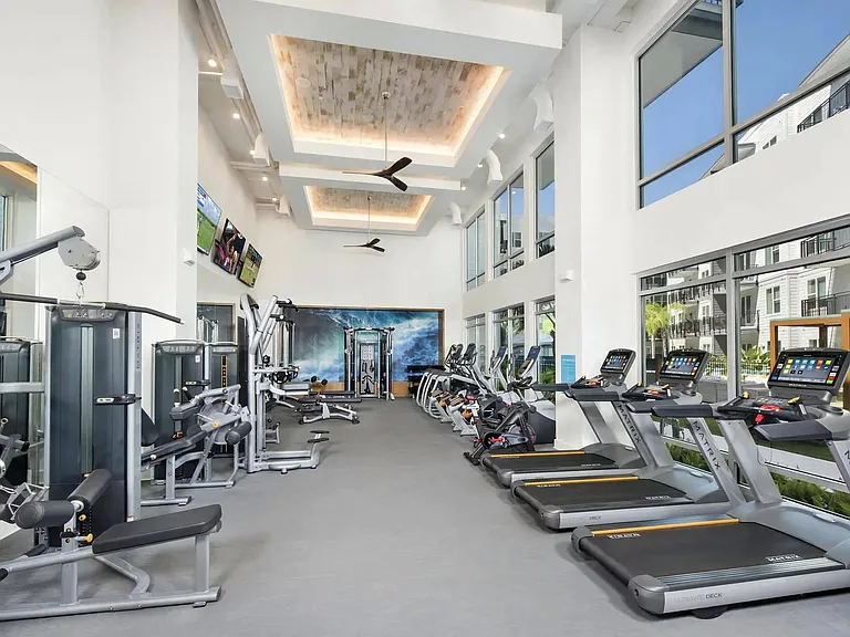 Fitness Studio with Cardio Machines, Weight Equipment, and Floor-to-Ceiling Windows