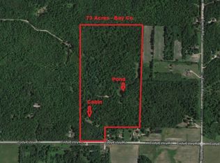 Rear Cody Estey Rd, Rhodes, MI 48652