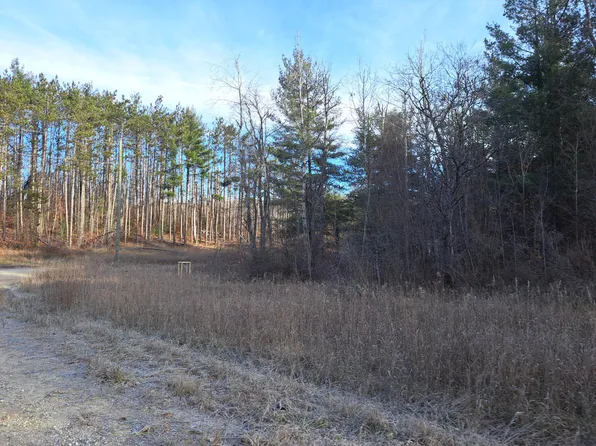 Devolder Rd, Elmira, MI 49730
