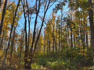 11201 White Ash Trl, Vanderbilt, MI 49795