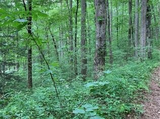 0 Burnett Ln, Suches, GA 30572