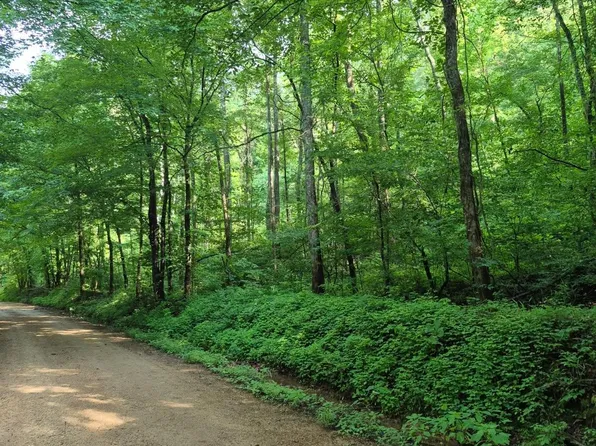 0 County Road 462, Lexington, AL 35648