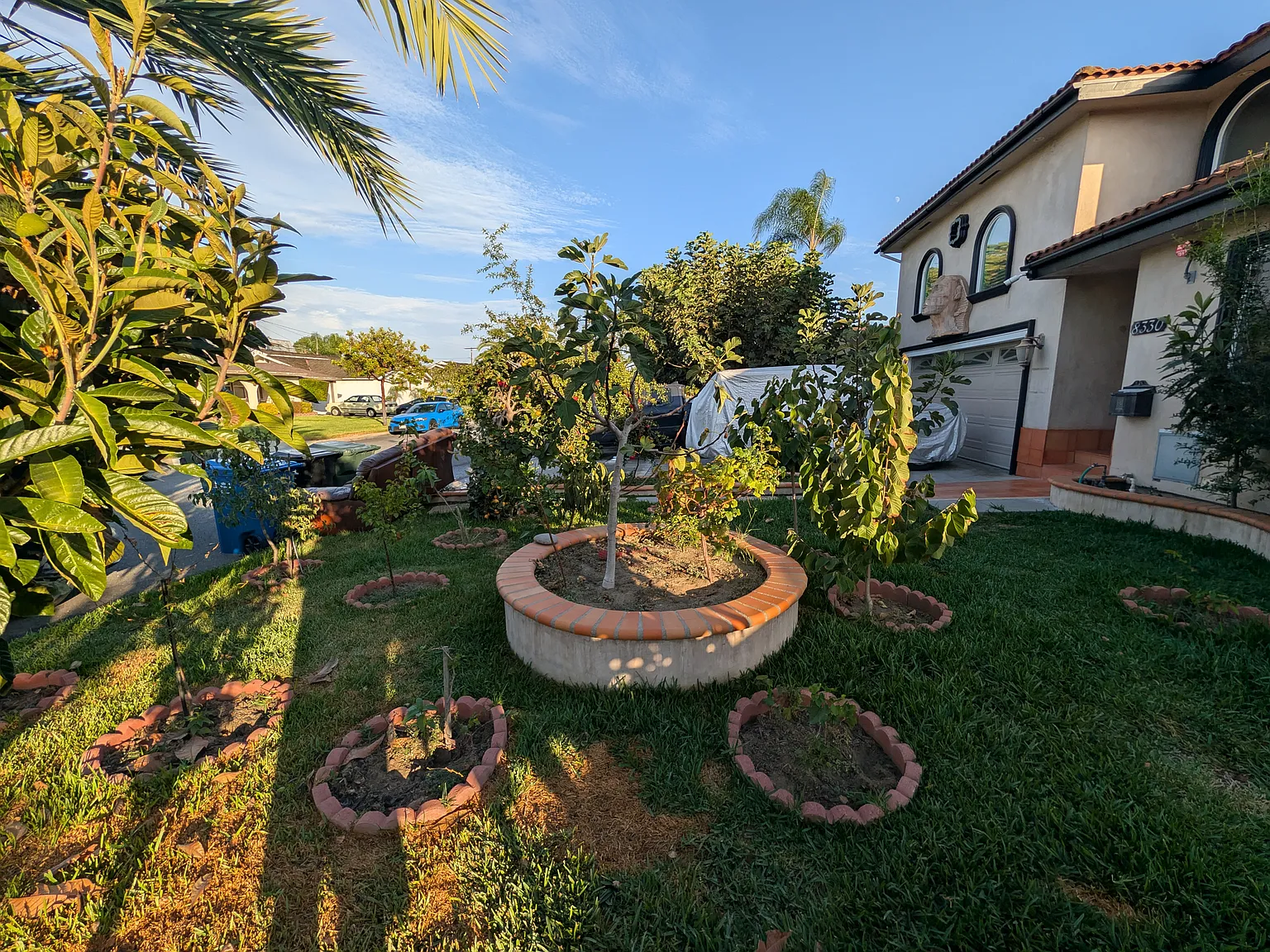 8330 Dacosta St — Photo 3