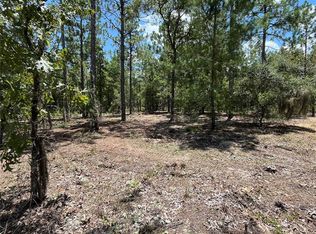 311 Himalayan St #11, Interlachen, FL 32148