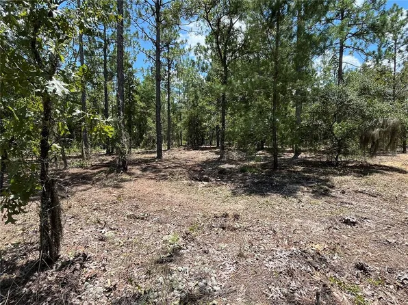 311 Himalayan St #11, Interlachen, FL 32148