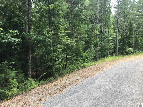 95 Baywood Vista Dr, Murray, KY 42071