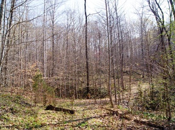 5th image of 5 Saint Johns Pl