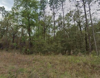 SW 159th Ave Lot 13, Ocala, FL, 34481