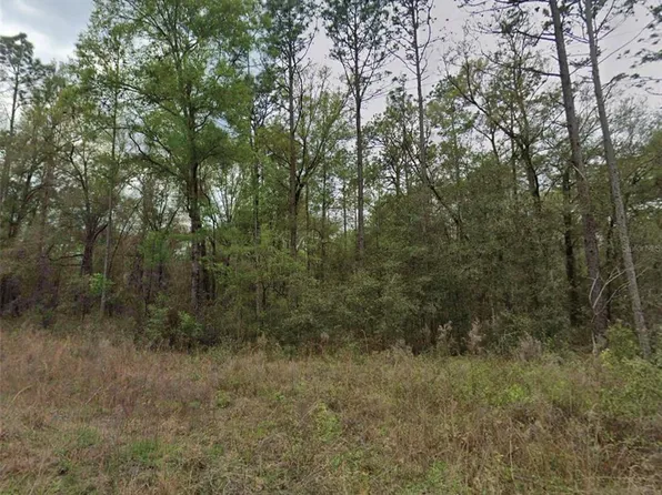 SW 159th Ave Lot 13, Ocala, FL 34481