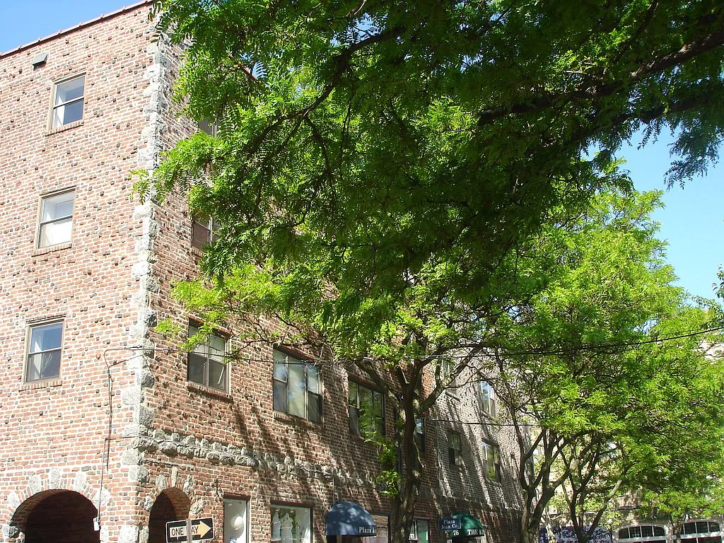 1 bed, 1.0 bath, $2,625 — Photo 4