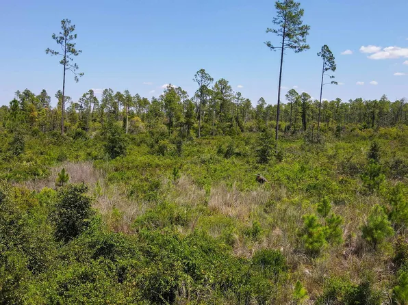 TRACT Five Rogers Springs Rd, Perry, FL 32348