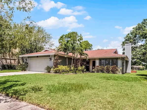8208 La Serena Dr, Tampa, FL 33614