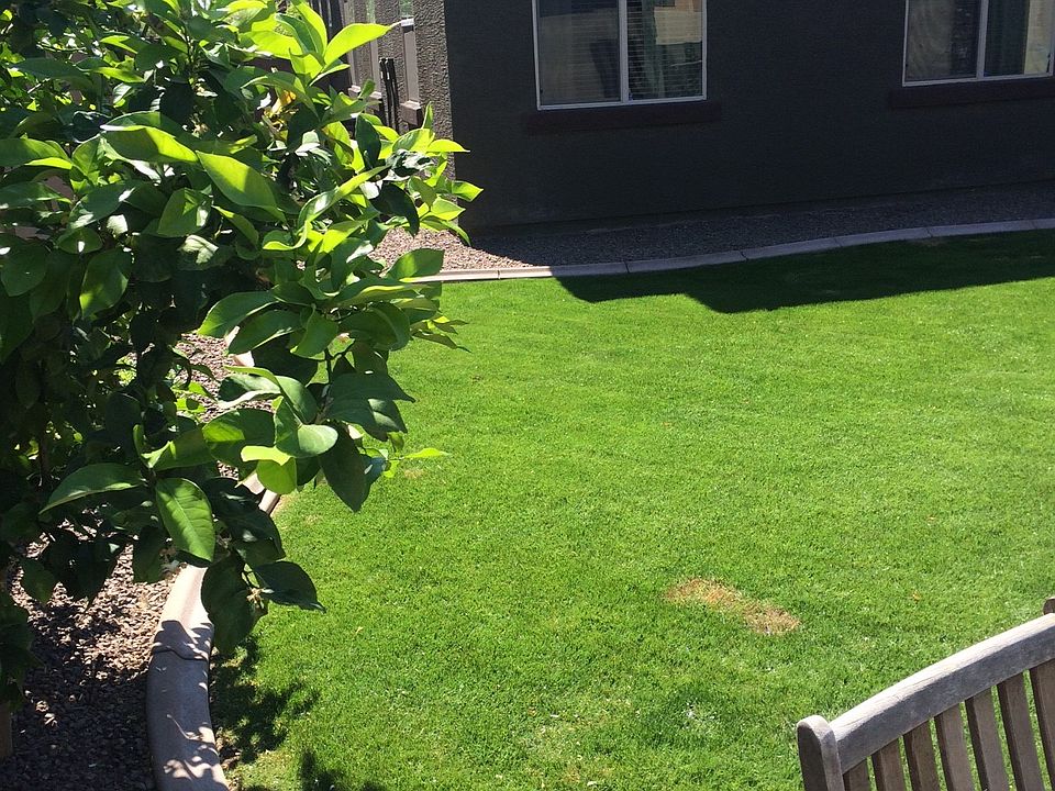 2nd image of 3920 E Palo Verde St