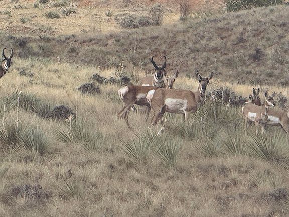5th image of 15 Tract Sable Run