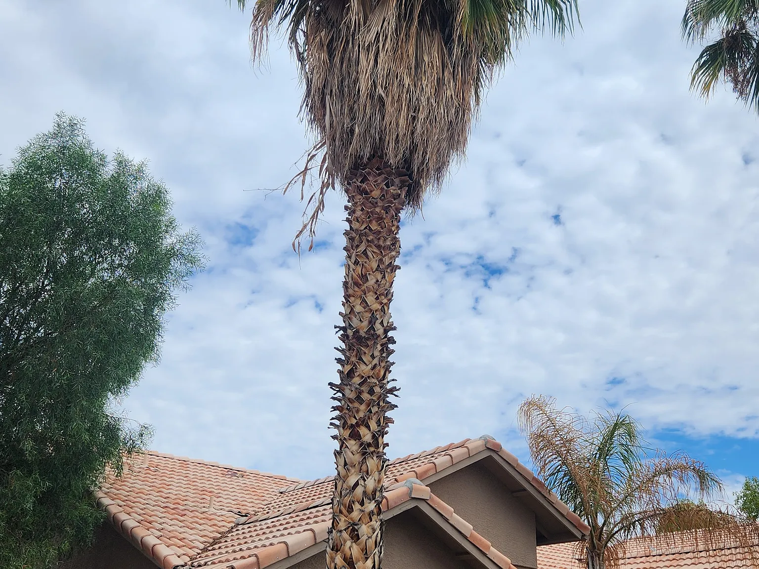 1410 E Bruce Ave — Photo 3