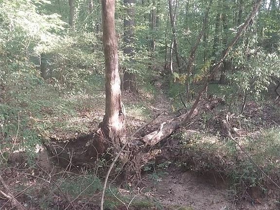 3rd image of 0 Duncan Ln