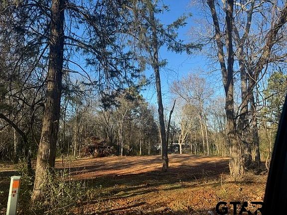 5th image of 1215 Rollingwood Dr