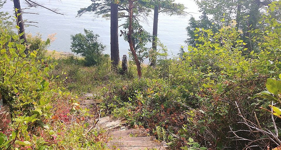 Path from backyard to beach.
