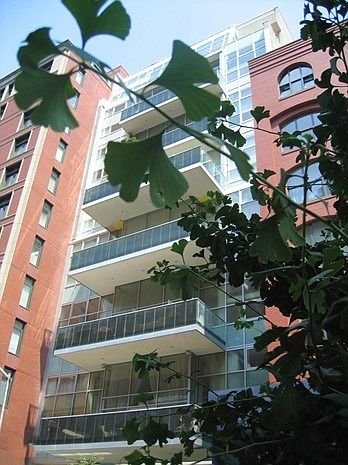 2nd image of 88 Laight Street #1