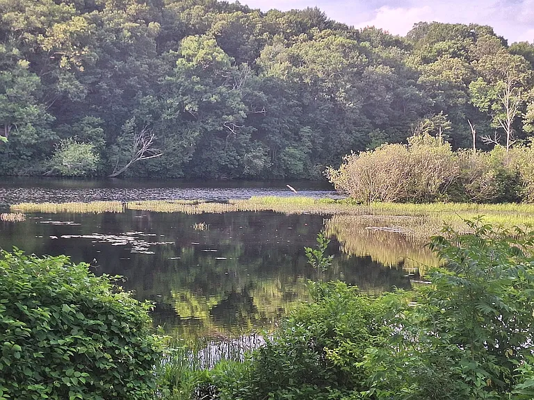 View of Chicopee River from Backyard