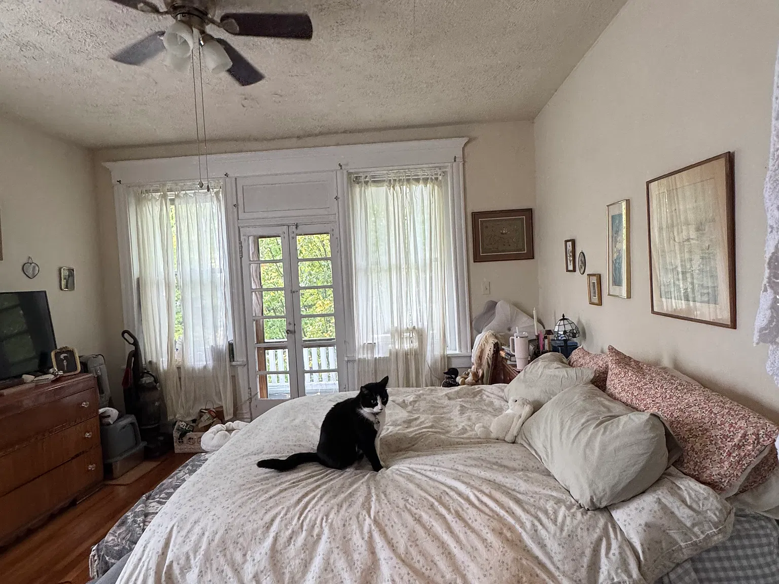 2 bed, 900 sqft, $1,899 — Photo 2